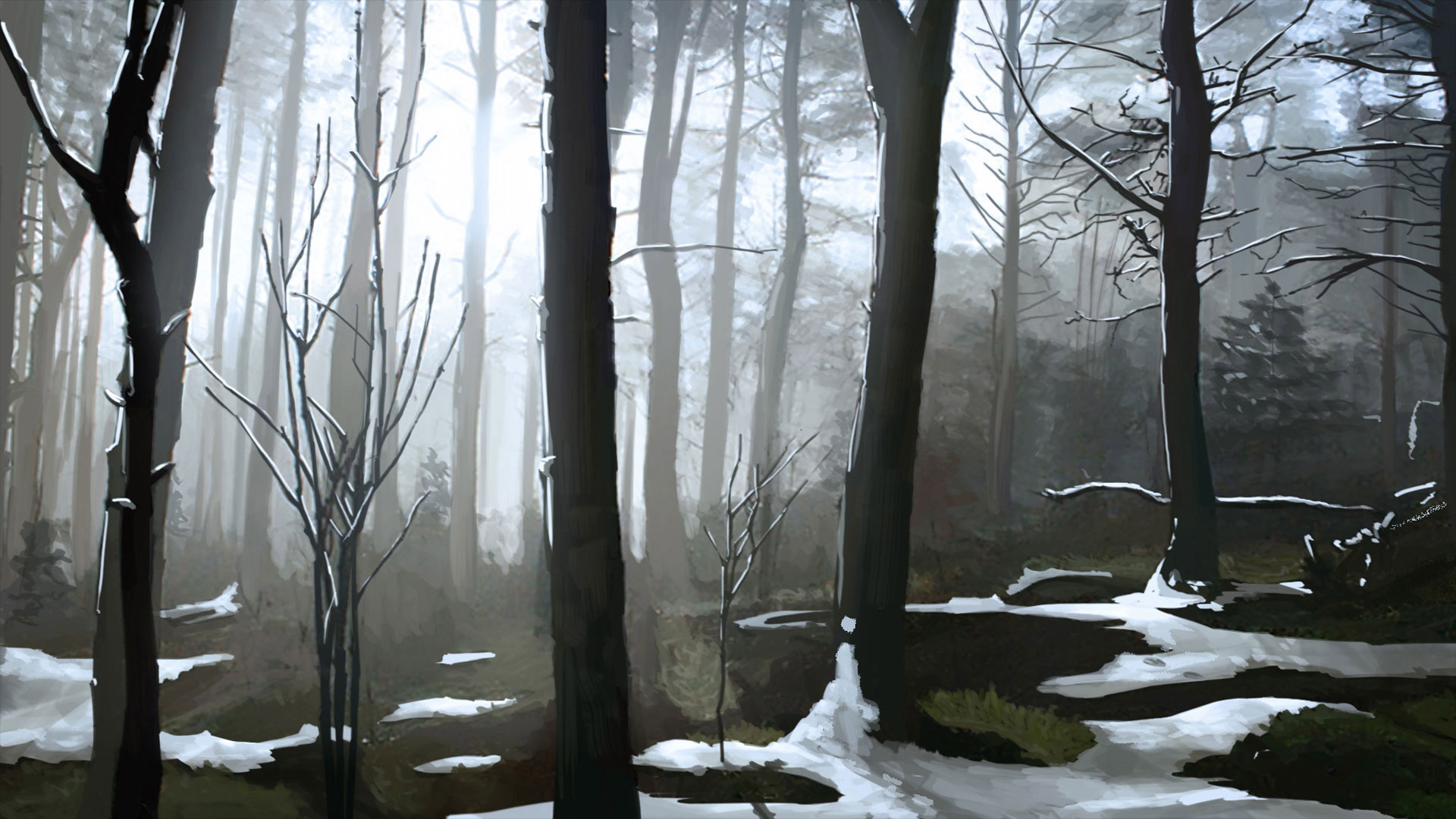 Snowy Forest